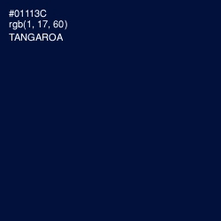 #01113C - Tangaroa Color Image