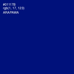 #01117B - Arapawa Color Image