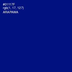 #01117F - Arapawa Color Image