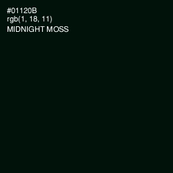 #01120B - Midnight Moss Color Image