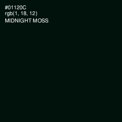 #01120C - Midnight Moss Color Image