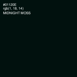 #01120E - Midnight Moss Color Image