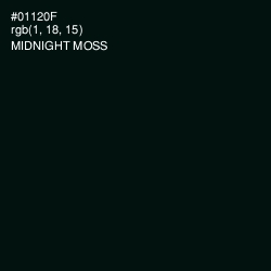 #01120F - Midnight Moss Color Image
