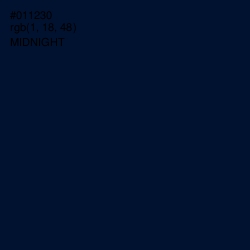 #011230 - Midnight Color Image