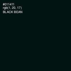 #011411 - Black Bean Color Image