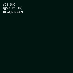 #011510 - Black Bean Color Image