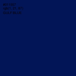 #011557 - Gulf Blue Color Image