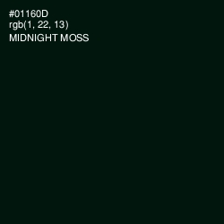 #01160D - Midnight Moss Color Image