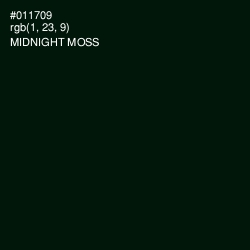 #011709 - Midnight Moss Color Image