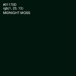 #01170D - Midnight Moss Color Image