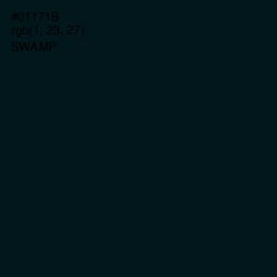 #01171B - Swamp Color Image