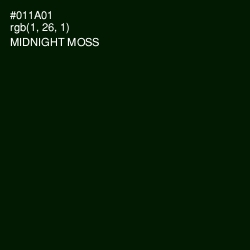 #011A01 - Midnight Moss Color Image