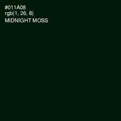 #011A08 - Midnight Moss Color Image