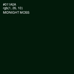 #011A0A - Midnight Moss Color Image
