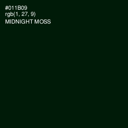 #011B09 - Midnight Moss Color Image