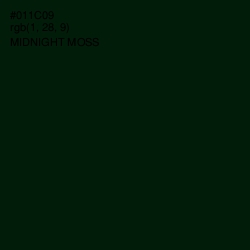 #011C09 - Midnight Moss Color Image