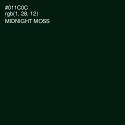 #011C0C - Midnight Moss Color Image