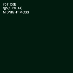 #011C0E - Midnight Moss Color Image