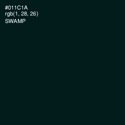 #011C1A - Swamp Color Image