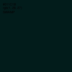 #011C1B - Swamp Color Image