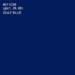 #011C58 - Gulf Blue Color Image