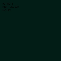 #011D16 - Holly Color Image