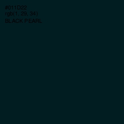 #011D22 - Black Pearl Color Image