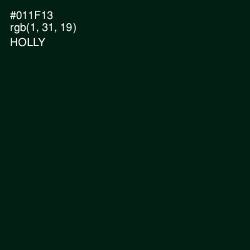 #011F13 - Holly Color Image