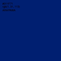 #011F71 - Arapawa Color Image