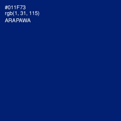 #011F73 - Arapawa Color Image