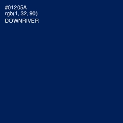 #01205A - Downriver Color Image