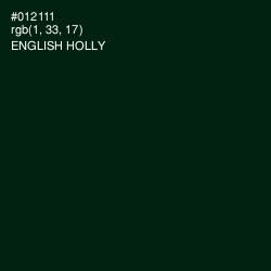 #012111 - English Holly Color Image