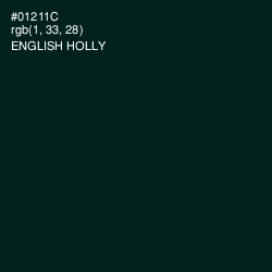 #01211C - English Holly Color Image