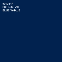 #01214F - Blue Whale Color Image