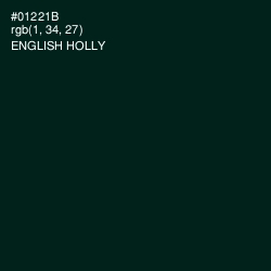 #01221B - English Holly Color Image