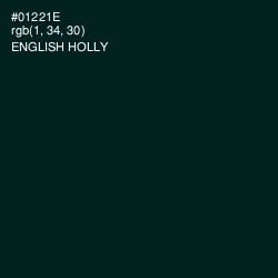 #01221E - English Holly Color Image