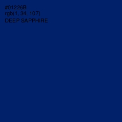 #01226B - Deep Sapphire Color Image