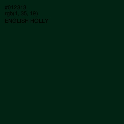 #012313 - English Holly Color Image