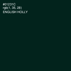 #01231C - English Holly Color Image