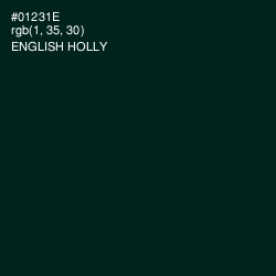 #01231E - English Holly Color Image