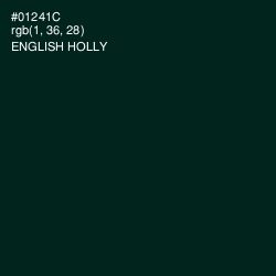 #01241C - English Holly Color Image