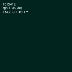 #01241E - English Holly Color Image