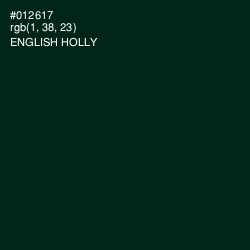 #012617 - English Holly Color Image