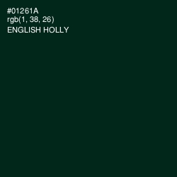 #01261A - English Holly Color Image