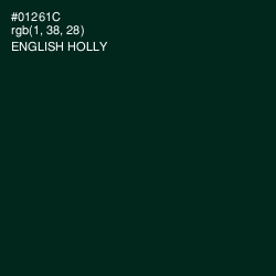 #01261C - English Holly Color Image