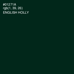 #01271A - English Holly Color Image