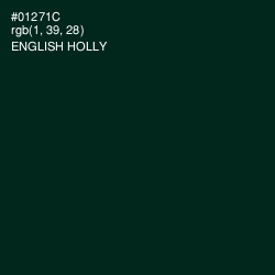 #01271C - English Holly Color Image