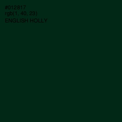 #012817 - English Holly Color Image