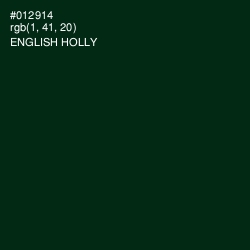 #012914 - English Holly Color Image