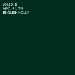 #012D1E - English Holly Color Image